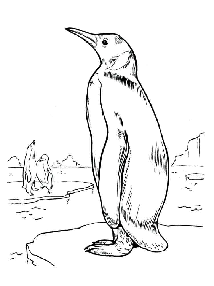 Raskrasil.com-Coloring-Pages-Penguin-46