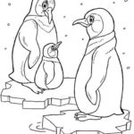 Raskrasil.com-Coloring-Pages-Penguin-5