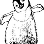 Raskrasil.com-Coloring-Pages-Penguin-59