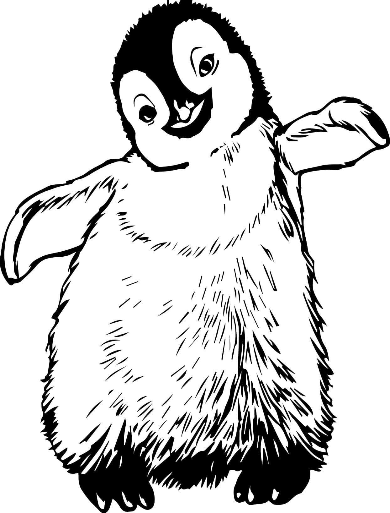 Raskrasil.com-Coloring-Pages-Penguin-59