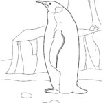 Raskrasil.com-Coloring-Pages-Penguin-65
