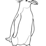Raskrasil.com-Coloring-Pages-Penguin-78