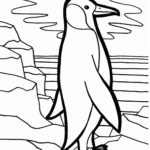 Raskrasil.com-Coloring-Pages-Penguin-8