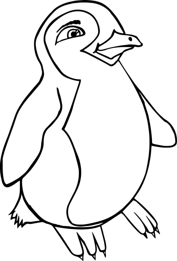 Raskrasil.com-Coloring-Pages-Penguin-95