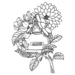 Raskrasil.com-Coloring-Pages-Perfume-67