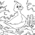 Raskrasil.com-Coloring-Pages-Pets-10