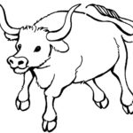 Raskrasil.com-Coloring-Pages-Pets-11