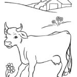 Raskrasil.com-Coloring-Pages-Pets-17
