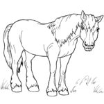 Raskrasil.com-Coloring-Pages-Pets-21