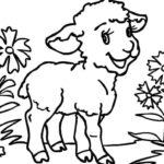 Raskrasil.com-Coloring-Pages-Pets-24