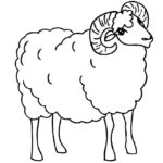 Raskrasil.com-Coloring-Pages-Pets-25