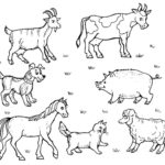 Raskrasil.com-Coloring-Pages-Pets-34
