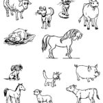 Raskrasil.com-Coloring-Pages-Pets-38