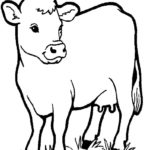 Raskrasil.com-Coloring-Pages-Pets-4