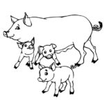 Raskrasil.com-Coloring-Pages-Pets-40