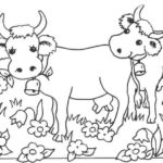 Raskrasil.com-Coloring-Pages-Pets-42
