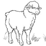 Raskrasil.com-Coloring-Pages-Pets-49