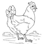 Raskrasil.com-Coloring-Pages-Pets-5