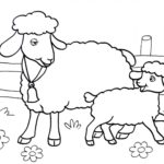 Raskrasil.com-Coloring-Pages-Pets-53