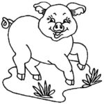 Raskrasil.com-Coloring-Pages-Pets-55