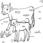 Raskrasil.com-Coloring-Pages-Pets-57