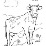 Raskrasil.com-Coloring-Pages-Pets-58