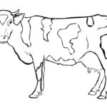 Raskrasil.com-Coloring-Pages-Pets-59