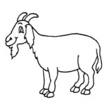 Raskrasil.com-Coloring-Pages-Pets-6