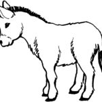 Raskrasil.com-Coloring-Pages-Pets-63