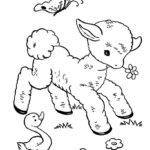 Raskrasil.com-Coloring-Pages-Pets-67