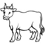 Raskrasil.com-Coloring-Pages-Pets-70