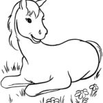 Raskrasil.com-Coloring-Pages-Pets-78