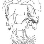 Raskrasil.com-Coloring-Pages-Pets-79