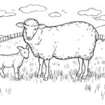 Raskrasil.com-Coloring-Pages-Pets-81
