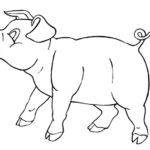 Raskrasil.com-Coloring-Pages-Pets-83