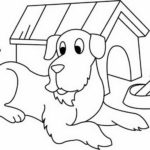 Raskrasil.com-Coloring-Pages-Pets-90