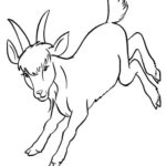 Raskrasil.com-Coloring-Pages-Pets-93