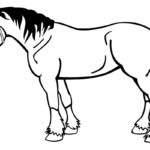 Raskrasil.com-Coloring-Pages-Pets-96