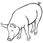 Raskrasil.com-Coloring-Pages-Pets-97