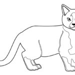 Raskrasil.com-Coloring-Pages-Pets-98