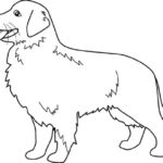Raskrasil.com-Coloring-Pages-Pets-99