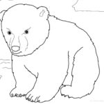 Raskrasil.com-Coloring-Pages-Polar-Beer-11