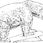 Raskrasil.com-Coloring-Pages-Polar-Beer-14
