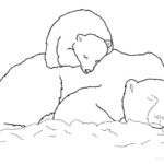 Raskrasil.com-Coloring-Pages-Polar-Beer-17