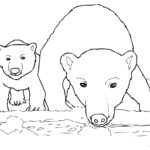 Raskrasil.com-Coloring-Pages-Polar-Beer-18