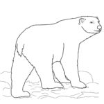 Raskrasil.com-Coloring-Pages-Polar-Beer-19