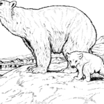 Raskrasil.com-Coloring-Pages-Polar-Beer-24