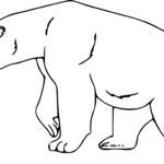 Raskrasil.com-Coloring-Pages-Polar-Beer-31