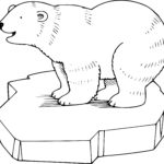 Raskrasil.com-Coloring-Pages-Polar-Beer-35
