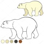 Raskrasil.com-Coloring-Pages-Polar-Beer-41